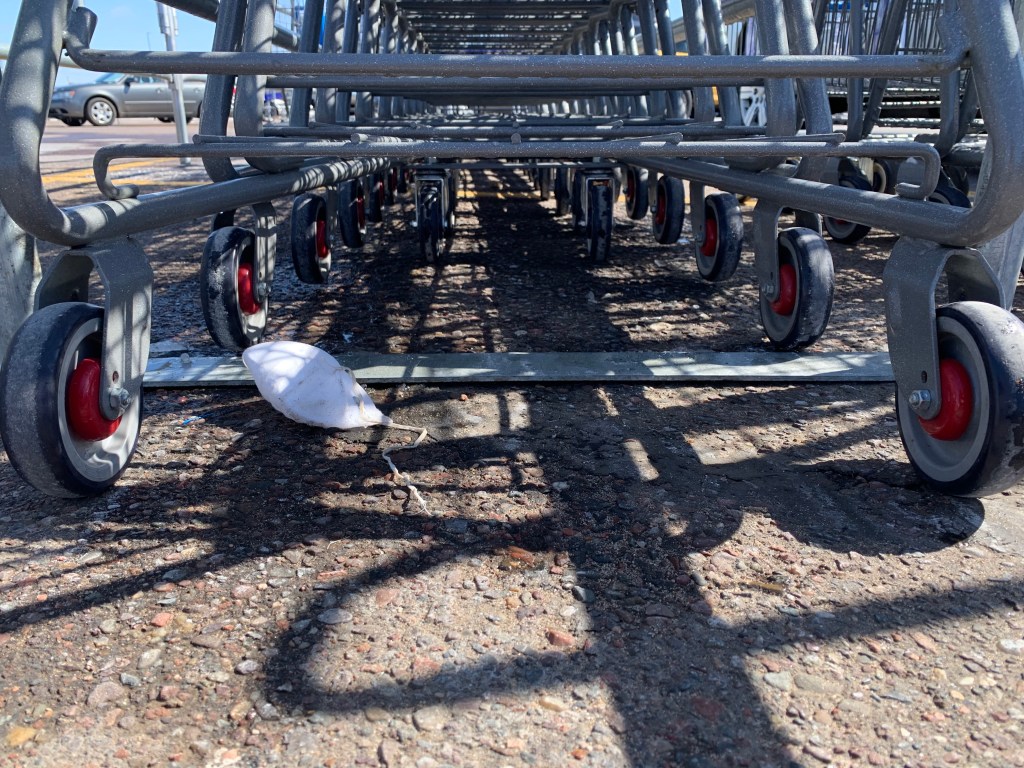 Is Unpredictability All We Can Count&nbsp;On?